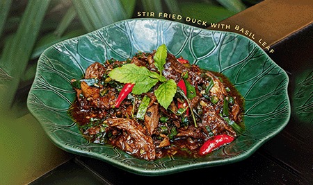 Dish preview