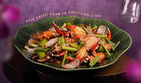 Dish preview